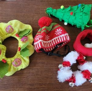 Lot of Christmas cat costumes